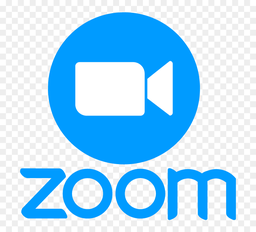 Online lessons taught over Zoom